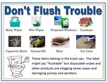 Don't Flush Trouble